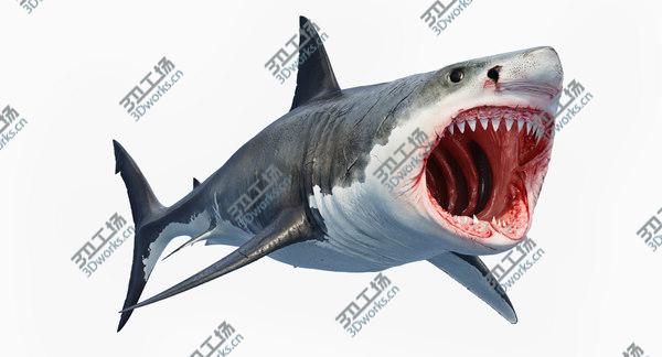 images/goods_img/20210312/3D Great Shark White/2.jpg